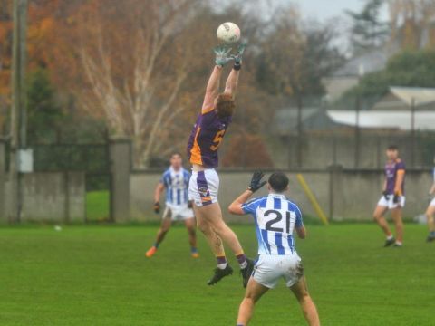 high catch