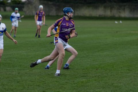 Kilmacud Crokes U16 B Hurlers Win The Championship