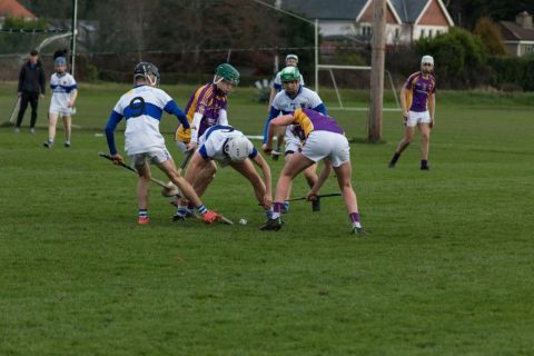 Kilmacud Crokes U16 B Hurlers Win The Championship