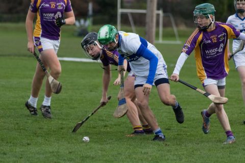 Kilmacud Crokes U16 B Hurlers Win The Championship