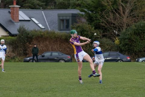 Kilmacud Crokes U16 B Hurlers Win The Championship