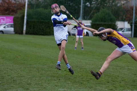 Kilmacud Crokes U16 B Hurlers Win The Championship