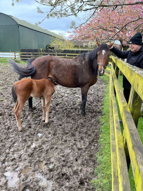 mother and baby