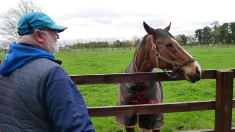 Faugheen