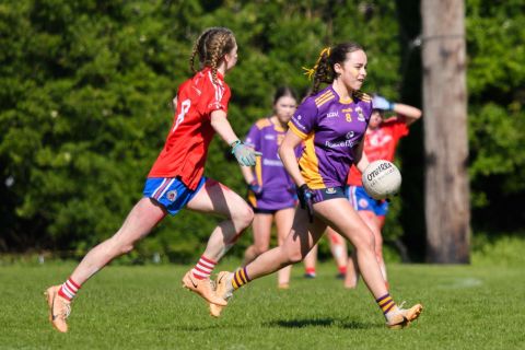 Feile