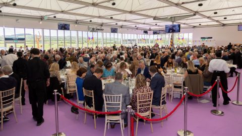 Punchestown 2024 - Full house!