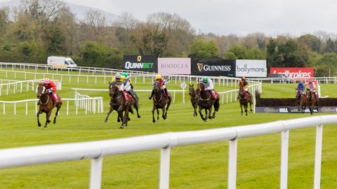 Punchestown 2024 - the racing