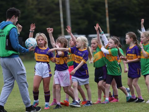 Mini All Ireland Ladies football