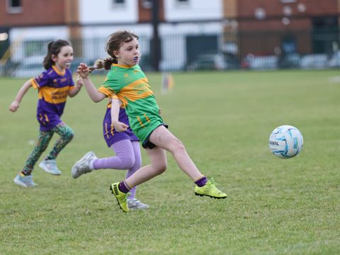 Mini All Ireland Ladies football