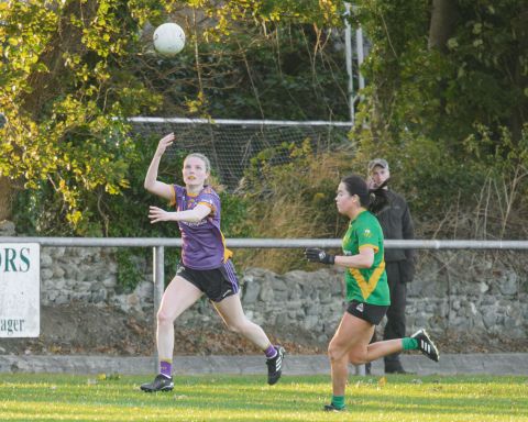 Senior Ladies 2024