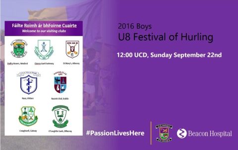 U8 Festival of Hurling UCD 12:00 Sunday 22