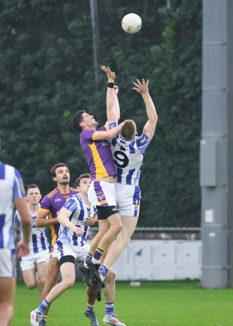 High Catch