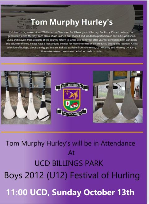 2012 Boys (U 12 Boys) Festival of Hurling UCD 11am Sunday 13