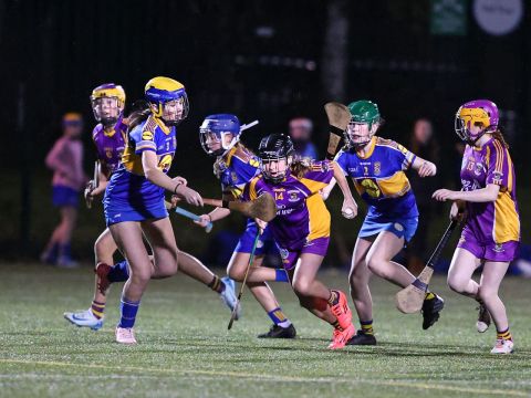 Camogie