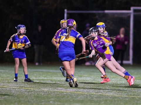 Camogie