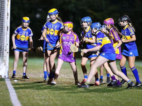 Camogie