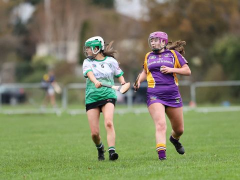 Camogie