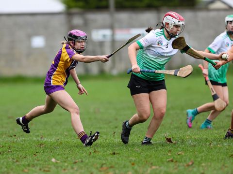 Camogie