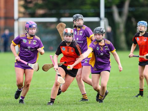 Camogie