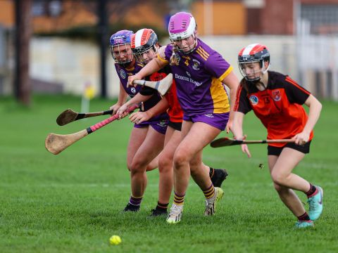 Camogie