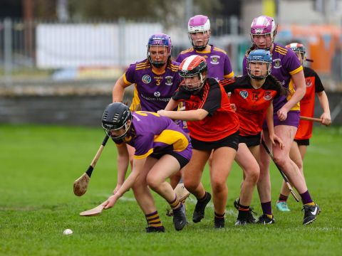 Camogie