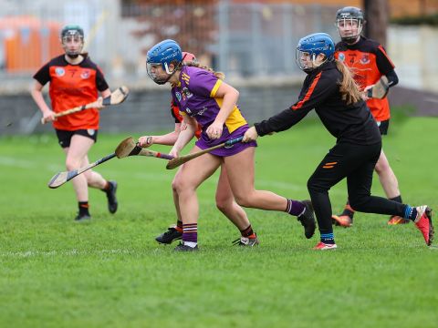 Camogie