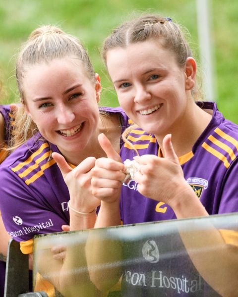 Ladies Football Senior Leinster Final 2024