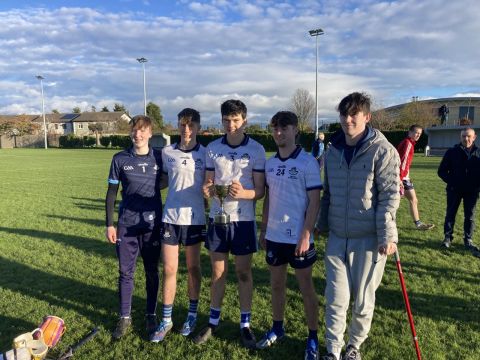 Crokes lads help Dublin South Colleges Cup win!