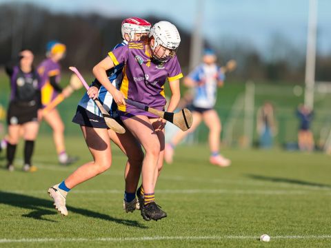 Camogie