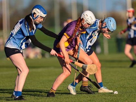 Camogie