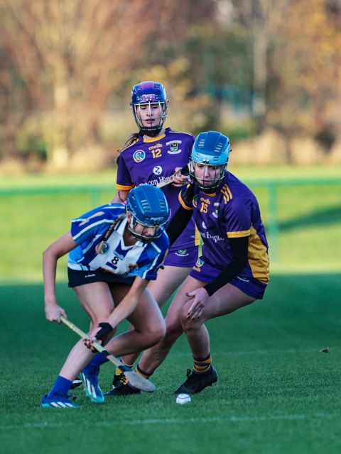 Camogie