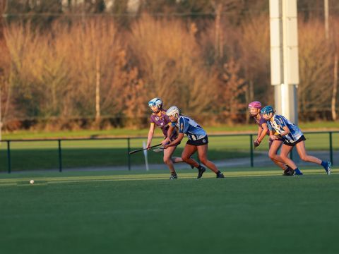 Camogie