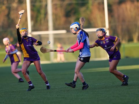 Camogie