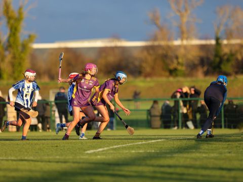 Camogie