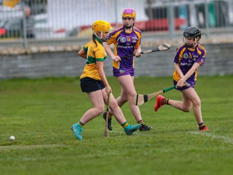 Camogie