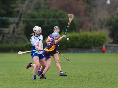 Camogie