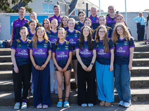 Feile