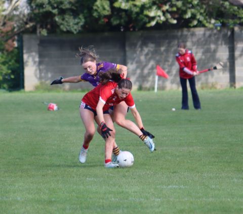 Feile