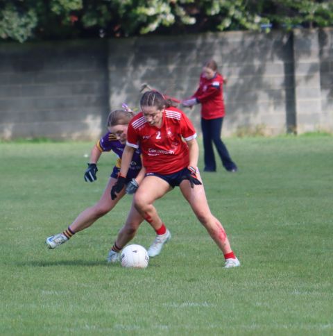 Feile