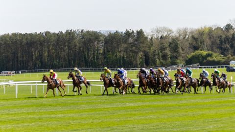 Punchestown 2025