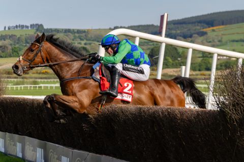 Punchestown 2025