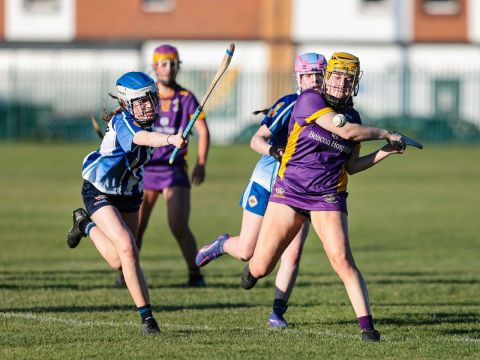 Camogie