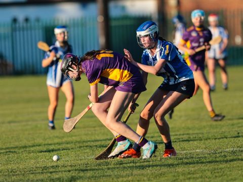 Camogie