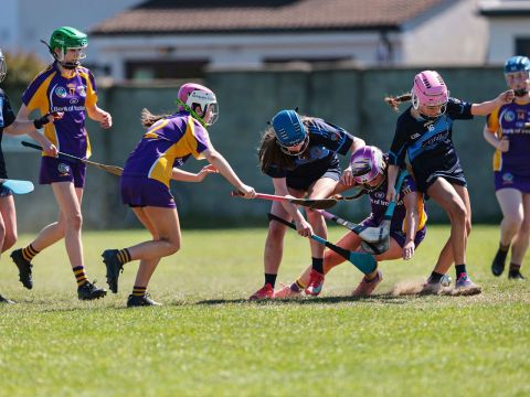 Camogie 