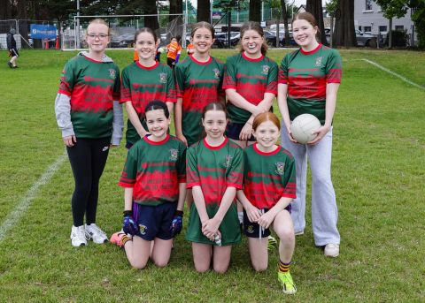 Mini All Ireland Ladies football