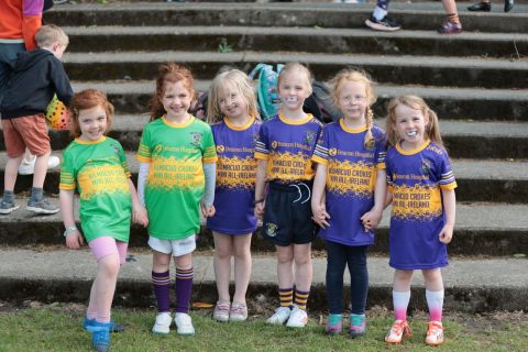 Mini All Ireland Ladies football