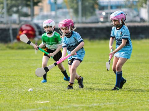 Camogie