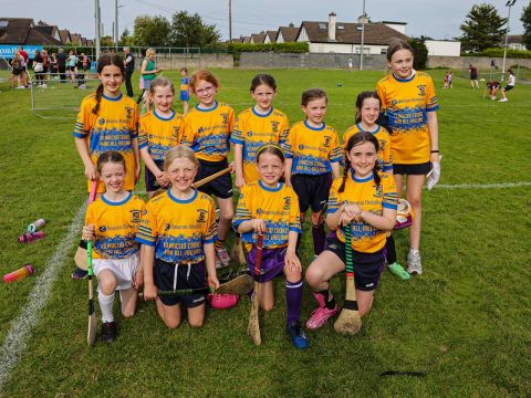 Camogie