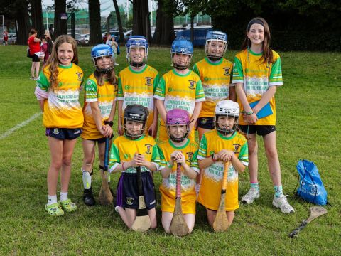Camogie
