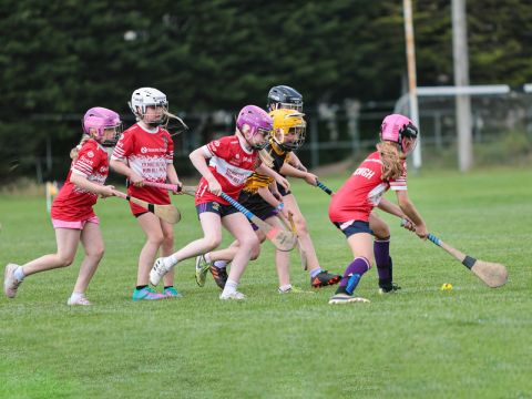 Camogie 